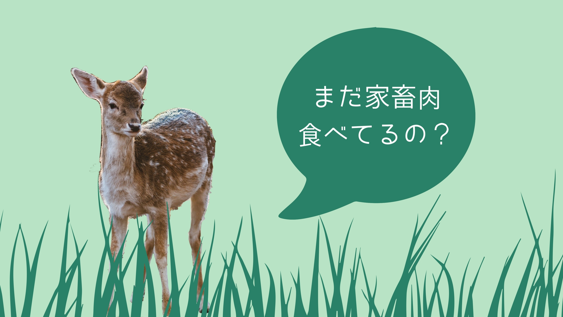 和歌山産ジビエが美味しい本当の理由と、ジビエ肉購入先を教えます！