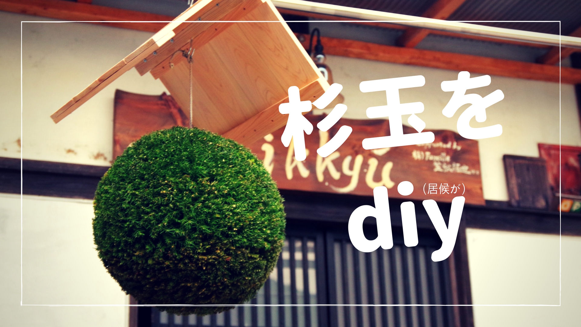 杉玉は簡単に自作できちゃう!?居候がたったの2回で職人レベルに仕上げたよ
