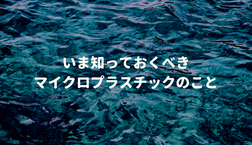 9割の塩、7割の魚介に含まれるマイクロプラスチック。人体への影響など、いま知っておきたいことをまとめたよ。