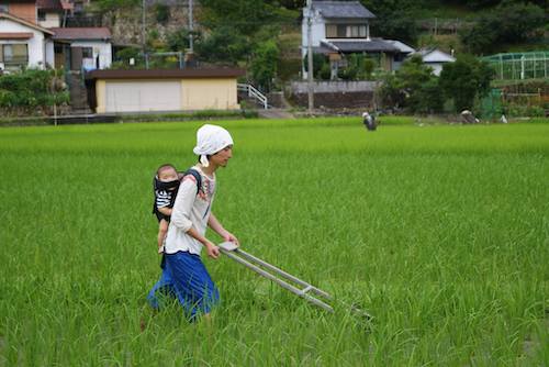 海外移住しまーす