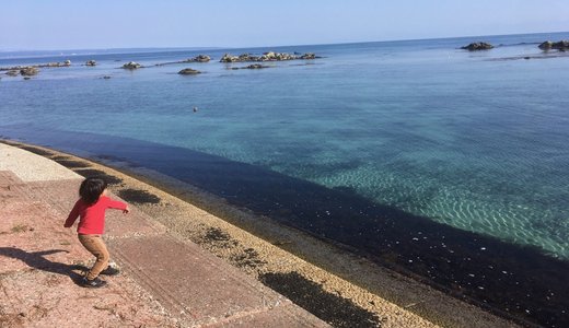 週に2,3回は「能登島に住んでよかった」と思える瞬間がある